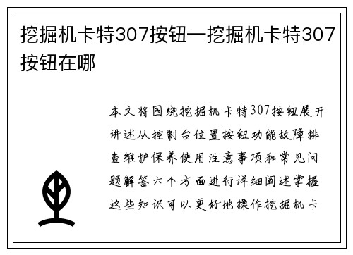 挖掘机卡特307按钮—挖掘机卡特307按钮在哪